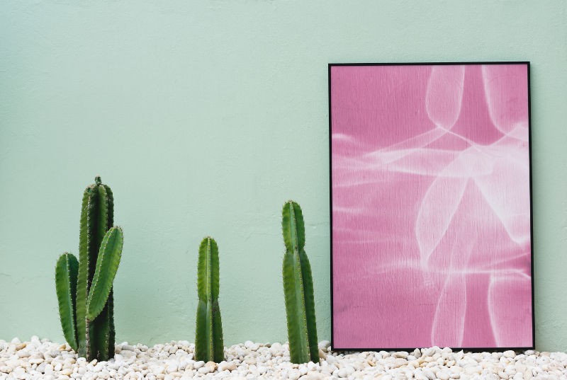 Green wall color, cacti, and pink picture